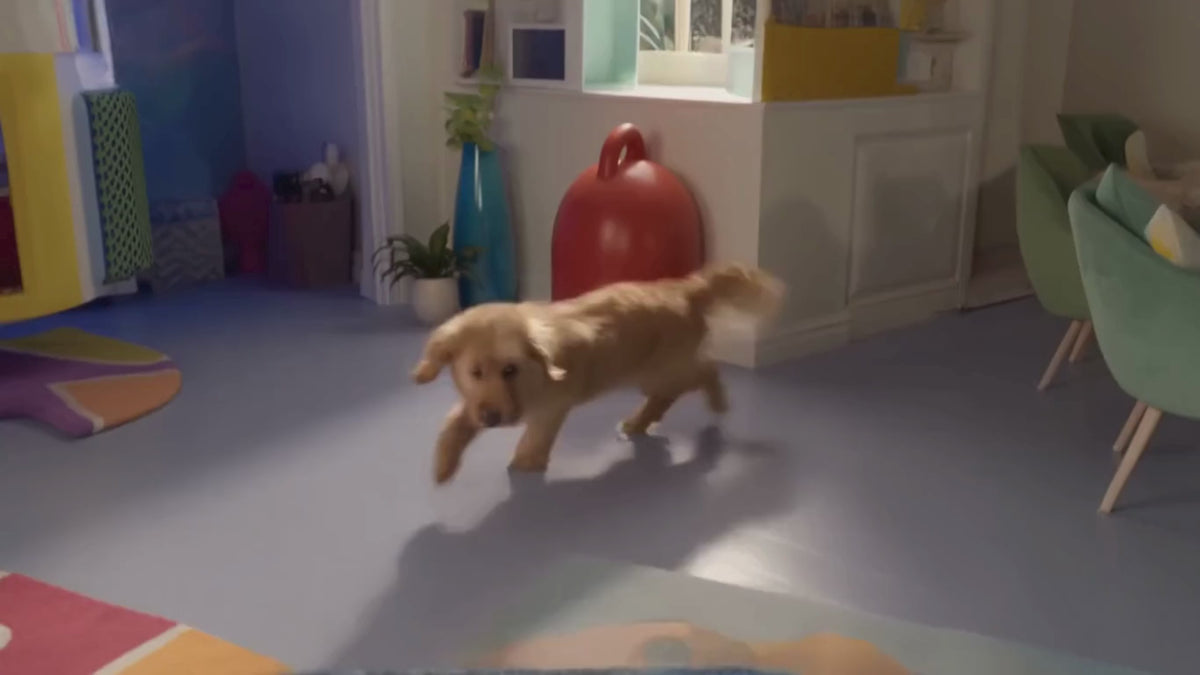 Load video: 